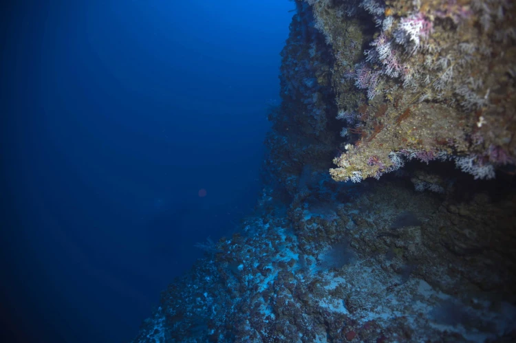 głębia oceanu by Jill Heinerth